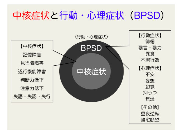 BPSD　中核症状